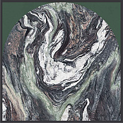 CEDIT POLICROMA ARCO CIPOLLINO-CONIFERA MAT 6MM RETT 764117 120x120