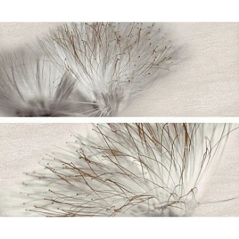 APE GLOBE BASE ACERO ПАННО 20x50