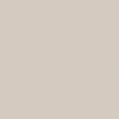 PARADYZ INWESTA GAMMA POPIELATA SCIANA MAT 19,8X19,8