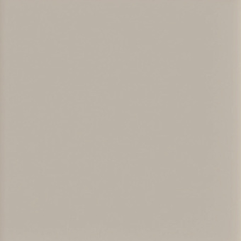 TERRATINTA MICRO WAYS FLAT SAND MIWAF0212 12,5Х12,5