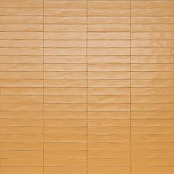 RAGNO WISH YELLOW RCGD 5,3X30