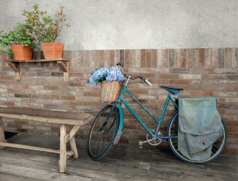 DADO BRICKONE VECCHIA FIRENZE 31X7.4