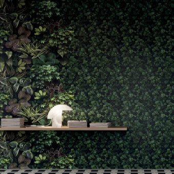 41ZERO42 PAPER41 PRO JANE C 4100153 50X100X0,35