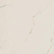 DADO MARMI PREGIATI SUPREME CALACATTA LAPPATO RET 59X59