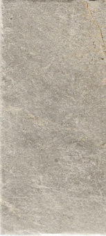 SERENISSIMA MAGISTRA FIOR DI BOSCO LUX RET 50X100