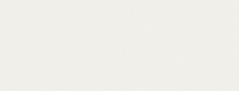 FANAL SNOW WHITE REC NPLUS 45Х118