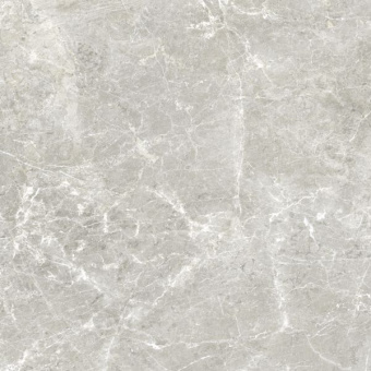 RICCHETTI CERAMICHE PURE SUPREME GREY 60X60
