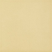 PARADYZ GAMMO BEZOWY 19.8X19.8