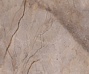 APAVISA WILD FOREST GREY POLISHED MIX 119,3x119,3