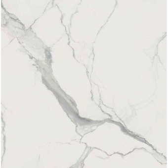 REX I CLASSICI STATUARIO GLO 746604 120X120X0,6