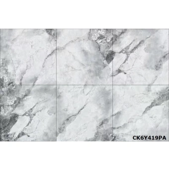 MEGAGRES STONE CK6Y419PA 60X60