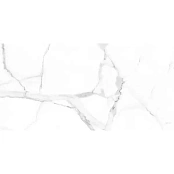 CICOGRES ALSACIA PORC RECT 60X120