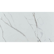 ECOCERAMIC GRAYISH 60Х120 - LP0869