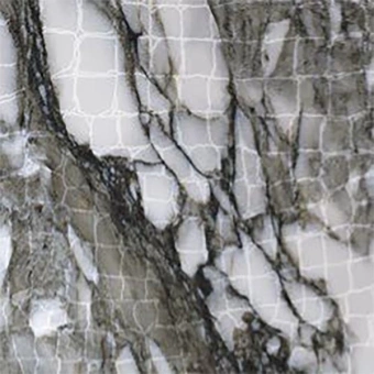 ROBERTO CAVALLI 0500909 LUSH CAL.REN.ANIM.LP RT 19,6X19,6