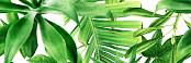 CERAMIKA COLOR PREMIUM GARDEN TROPIC B ДЕКОР 25X75X0,9