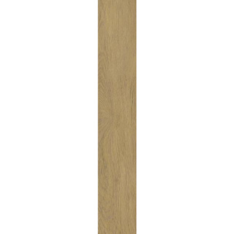 PARADYZ SPACEWOOD GOLD RECT STR MAT 19,8X119,8Х0,8