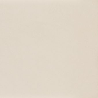 PARADYZ INTERO BIANCO RECT MAT 59,8X59,8