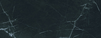 FANAL NEW ICE BLACK REC.NPLUS 45Х118