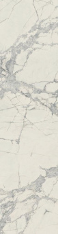 REX PREXIOUS MOUNTAIN TREASURE MATTE 755850 30X120
