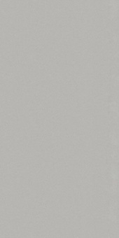 CERDISA EC1/22 / ECC FINSBURY NATURAL RETT 60X120