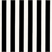 APE LORD ALBINERO 20x20