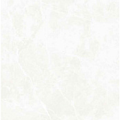 ECOCERAMIC PUCCINI BLANCO POLISH 120Х120