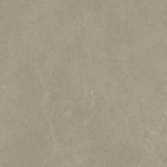 ARGENTA PALCO BROWN RECT 60Х60