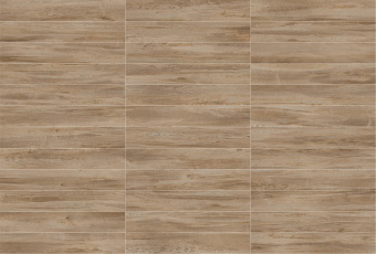 PORCELANATTO TASSO ROVERE 20x120x0,95