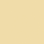 PARADYZ INWESTA GAMMA BEIGE SCIANA POLYSK 19,8X19,8