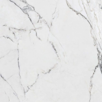 RONDINE CANOVA STATUARIO RET 120X120