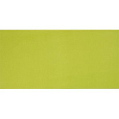 PAMESA AGATHA PISTACHO 25x50