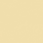 PARADYZ GAMMA BEZOWA M 19.8X19.8