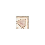 PAMESA CERAMICA DANTE TACO 12x12