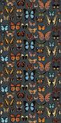 ABK WIDESTYLE PAPILLON DIGIT+ 3716 60X120