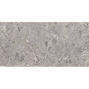 GRESPANIA ARTIC GRIS NAT 60x120