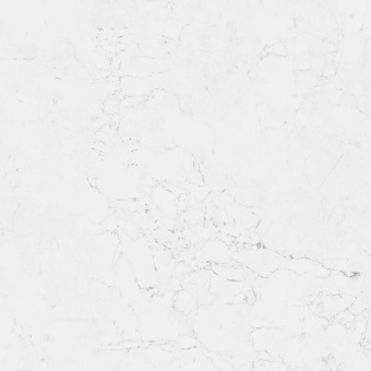 PORCELANOSA FONTANA G347 59.6Х59.6