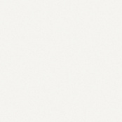 PORCELANOSA MATT G354 WHITE 59.6Х59.6