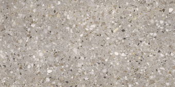 SAIME CERAMICHE FRAMMENTA TAUPE POLISHED 8601201 59X117X9