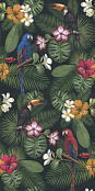ABK WIDESTYLE RAIN FOREST COMP. 4 PZ DIGIT+ 3725 120X240