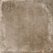 CERDISA REDEN DECORATO BUSCUIT 60x60