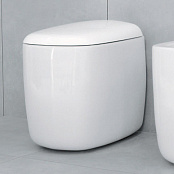 НАПОЛЬНЫЙ УНИТАЗ FLAMINIA MONO, WHITE (MN117)