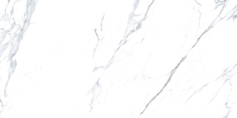 CERDISA ARCHIMARBLE STATUARIO LUX RT 59,4X119