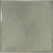 EQUIPE SPLENDOURS GREEN 23973 15X15