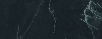 FANAL NEW ICE BLACK REC. 45Х118