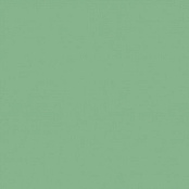 PARADYZ GAMMA ZIELONA M 19.8X19.8