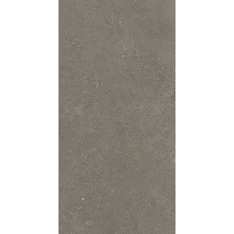 FIANDRE SOLIDA GREY GAB700S126009 60X120X0,9