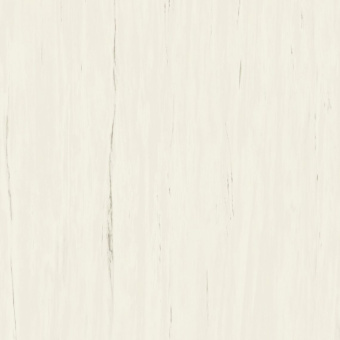 ATLAS CONCORDE MARVEL STONE BIANCO DOLOMITE MATT A204 120X120X0,9