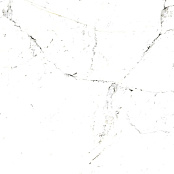 PERONDA-MUSEUM TUCCI BLACK/60X60/P 60x60