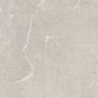 PARADYZ SUNNYDUST LIGHT GRYS RECT 59,8X59,8X0,9