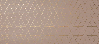 ATLAS CONCORDE MEK ROSE HEXAGON* 50X110